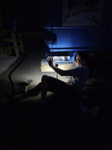 ReparaturLicht